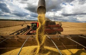 Cidades do agro são mais ricas que a média nacional