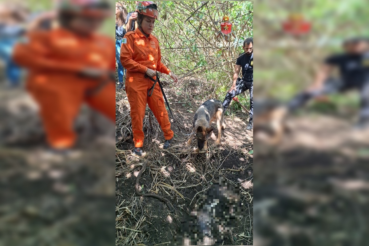 O corpo de uma mulher foi encontrado enterrado, na manhã desta quinta-feira (14/8), em uma área de mata no Areal, nas proximidades da QS 05, em Águas Claras.
O