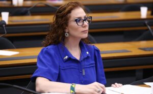A greve de fome iniciada pela parlamentar também foi considerada insuficiente para justificar a soltura | Foto: Vinicius Loures/Câmara dos Deputados