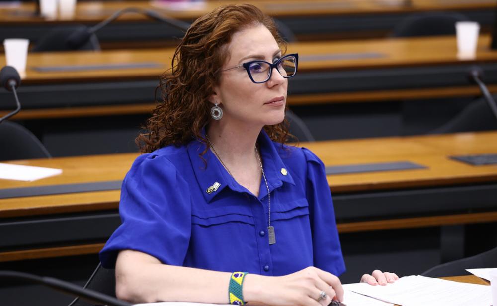 A greve de fome iniciada pela parlamentar também foi considerada insuficiente para justificar a soltura | Foto: Vinicius Loures/Câmara dos Deputados