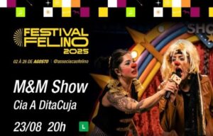 8º Festival FELINO leva peças teatrais gratuitas ao Teatro Municipal de São Sebastião