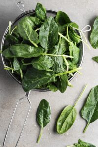 Conheça vegetal poderoso que auxilia na memória, foco e concentração