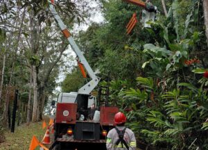 EDP realiza mutirão de poda de vegetação próxima à rede elétrica e modernização de equipamentos em bairros de Caraguatatuba e São Sebastião