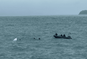 Corpo de homem é resgatado em Ubatuba (SP); suspeita de naufrágio em Itanhaém