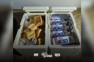PM apreende canetas emagrecedoras junto com frango e Whey em ônibus