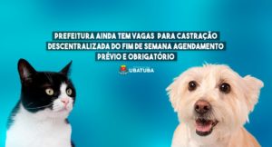 Prefeitura tem vagas para castração gratuita de cães e gatos
