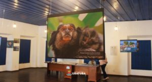 Ubatuba sedia premiação do 2º Concurso Cultural de Fotografia