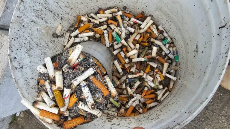 Mais de 167 mil  bitucas de cigarro são recolhidas em 6 meses nas praias de Ubatuba
