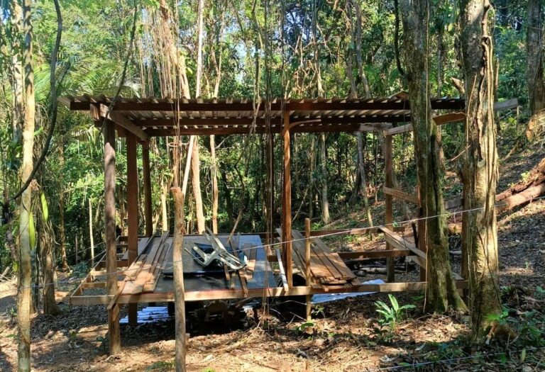 Polícia Ambiental desmobilizou construções irregulares em área de preservação ambiental permanente