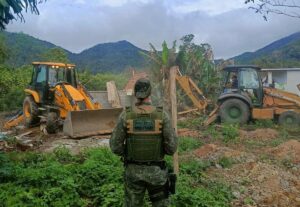 Fiscalização da Polícia Ambiental coíbe ocupação irregular na Mata Atlântica em Ubatuba