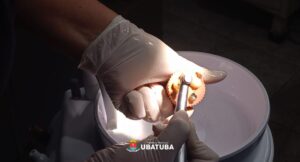 Odontologia avança em capacitação prática sobre endodontia