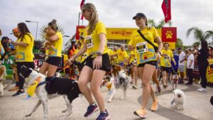 Cachorrida, evento voltado para tutores e seus cães será realizado em 27 de setembro, dentro da programação da 34ª Dez Milhas Garoto Agosto, 2025 – A relação en