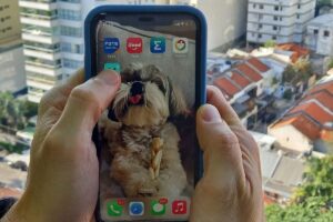 PCC e CV miram mais ricos ao aplicar golpes virtuais, mostra pesquisa