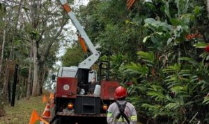 EDP realiza mutirão de melhorias técnicas em Caraguatatuba e São Sebastião