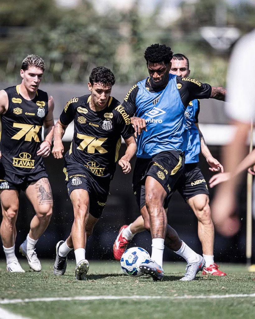 O Santos pode ter desfalques importantes para o jogo contra o Bahia. O zagueiro João Basso e o volante Willian Arão são dúvidas e preocupam o técnico Fábio Carille.