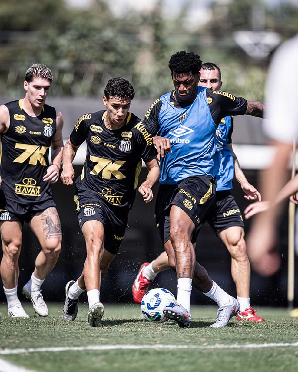 O Santos pode ter desfalques importantes para o jogo contra o Bahia. O zagueiro João Basso e o volante Willian Arão são dúvidas e preocupam o técnico Fábio Carille.