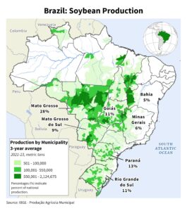 Mato Grosso volta a superar a Argentina na produção de soja