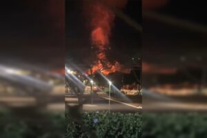Parque da Cidade: homem é preso por incendiar bambuzal de propósito