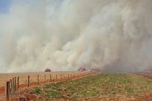 Bombeiros e Defesa Civil controlam incêndios em canaviais em SP