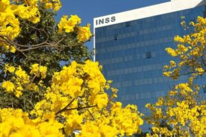 Senado aprova MP de benefícios a servidores para diminuir fila no INSS