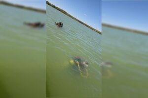 Um homem de 48 anos morreu afogado, na manhã dessa segunda-feira (25/6), na Barragem do Paranã, no município de Flores de Goiás, no Entorno do Distrito Federal.