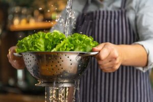 Aprenda truques para manter a alface fresca e verdinha por mais tempo