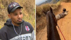 MP-SP denuncia à Justiça tutor que cortou patas de cavalo com facão em Bananal; animal estava vivo durante mutilação