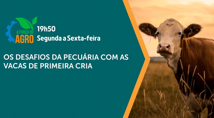 A Força do Agro #550: assista ao programa de 18/8/2025
