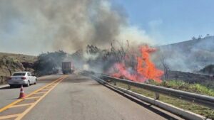 Queimada de grandes proporções atinge 19 hectares de mata às margens de rodovia em São Luiz do Paraitinga