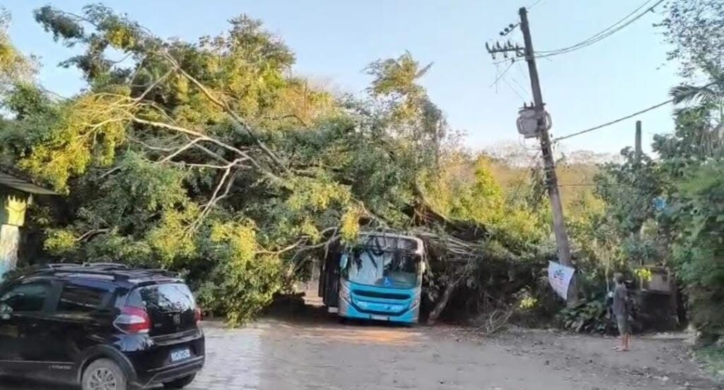 Vento derruba árvore sobre ônibus em São Sebastião