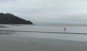 Bombeiro retira cão preso em banco de areia em Caraguatatuba