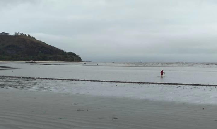 Bombeiro retira cão preso em banco de areia em Caraguatatuba