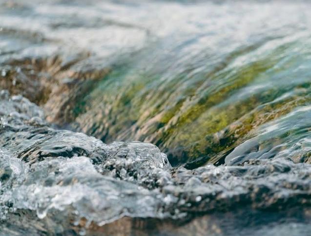 CBH-LN indica nove projetos ao FEHIDRO, para recuperação dos recursos hídricos no Litoral Norte Paulista