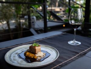 Vinícola da Argentina chega a Taubaté: Catena Zapata em Jantar Exclusivo no Vivá