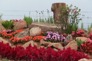 Melhores destinos turísticos do Brasil? Atibaia entra na lista de premiação