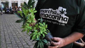 Cidade no litoral de SP terá 1ª Marcha da Maconha no sábado (4)