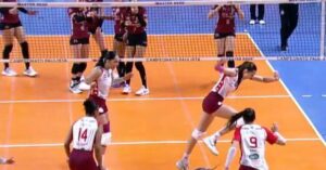 Gambá invade quadra em semifinal de campeonato de vôlei; veja