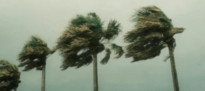 Marinha do Brasil emite alerta de ventos de até 60 km/h no Litoral Norte