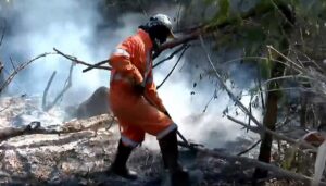 Temperaturas aumentam, e Defesa Civil de SP emite alerta para o risco de queimadas no Vale e região
