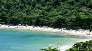 A praia eleita a mais bela de SP fica a 3 horas da capital; saiba como chegar