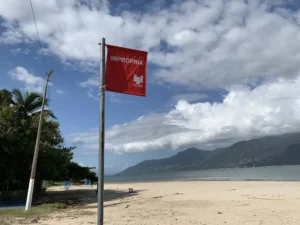 Litoral Norte: Oito praias são classificadas como impróprias para banho no feriado da Consciência Negra – 012 News | O portal de notícias do Vale do Paraíba e Litoral Norte