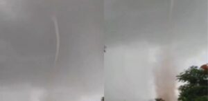 Morte, tornado e árvores caídas: veja danos causados pela chuva em SP