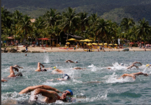 Ilhabela sedia a última etapa do Circuito Paulista de Águas Abertas 2025