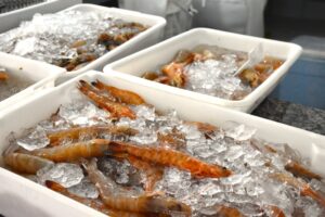 Regional: Prefeitura de Ilhabela concede cestas básicas aos pescadores de camarão durante período de defeso