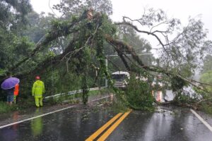 Chuva SP: 121 mil sem luz e rodovias interditadas em SP – 19/01/2026 – Cotidiano
