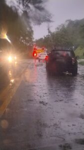 Árvore cai sobre carro e interdita a rodovia SP-50, em São José dos Campos