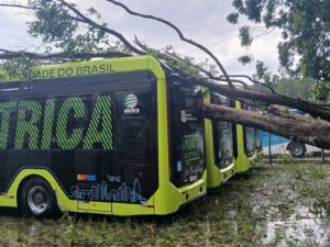Chuva em São José dos Campos: árvores caem sobre ônibus e telhado de garagem na Zona Norte