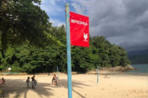 OVALE: Litoral Norte tem 11 praias impróprias para o banho, diz Cetesb