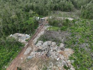 Regional: ICC denuncia avanço do desmatamento e grilagem organizada no entorno da APA Baleia-Sahy, em São Sebastião