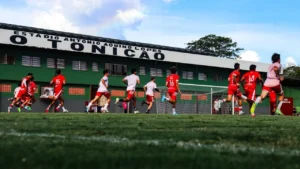 Rio Branco Futebol Clube: história, tradição e o caminho para um futuro sustentável